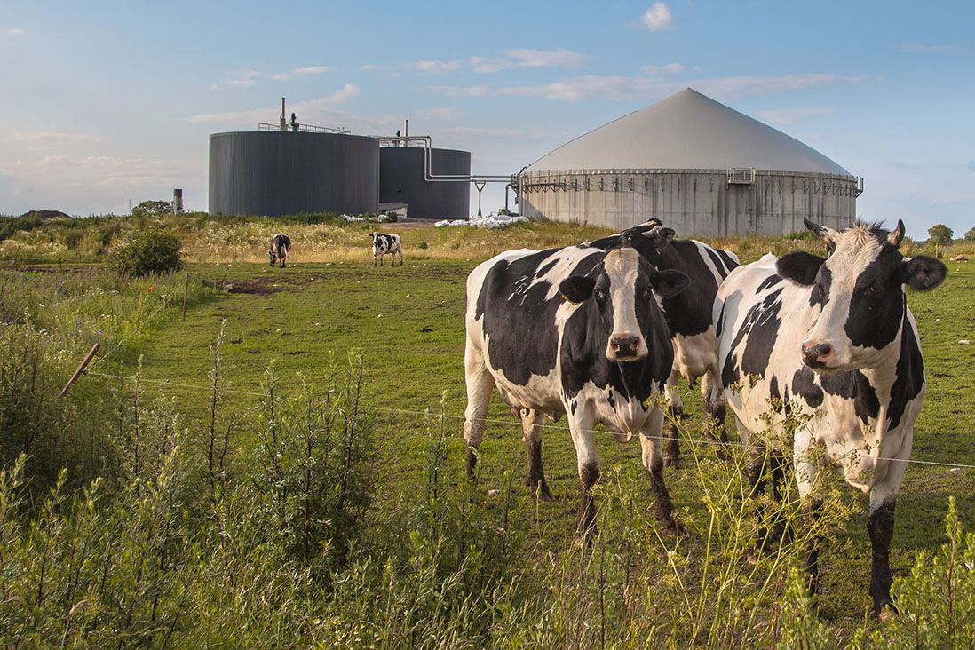SECTOR BIOGÁS - INOXCAUCHO